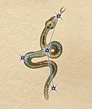 Serpent.gif