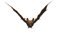 Daggerfall best giant bat.gif