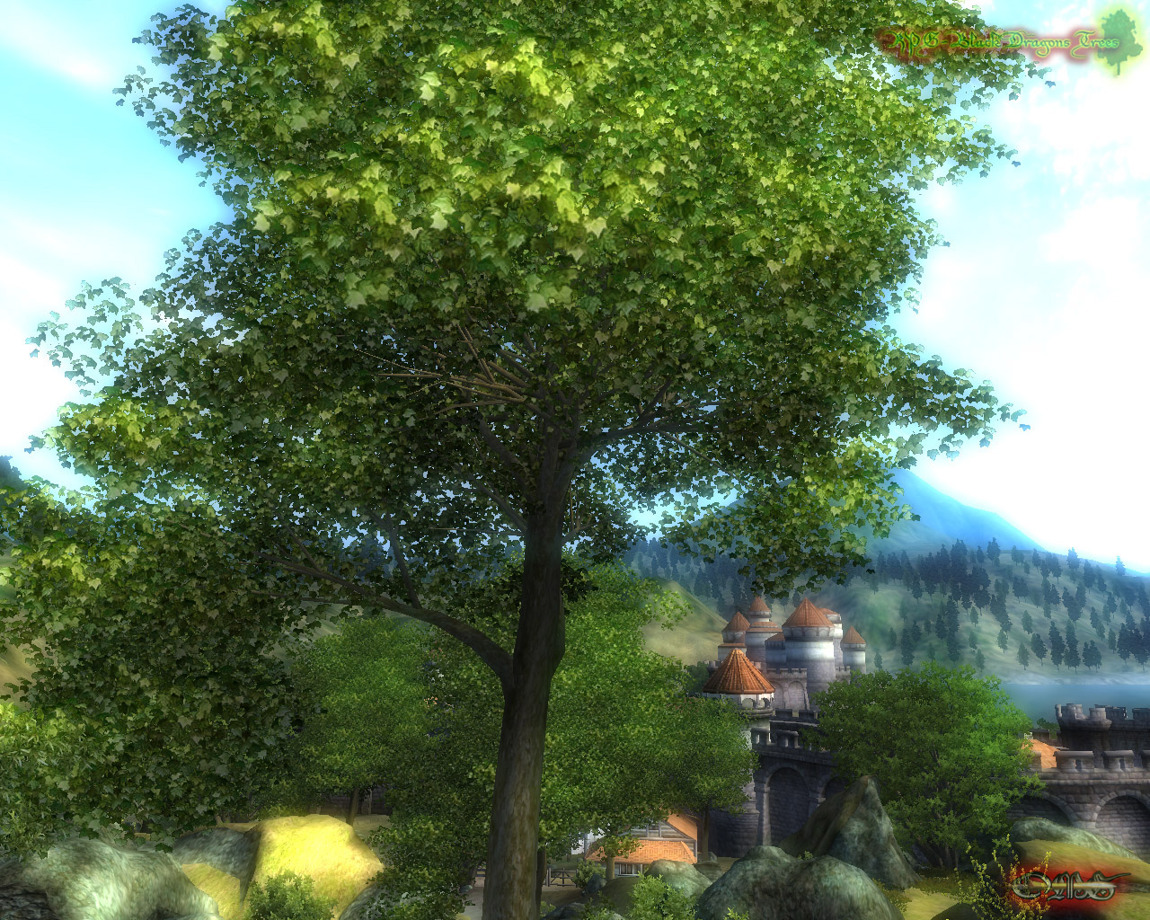 Exemple de RPG-BlackDragons Trees